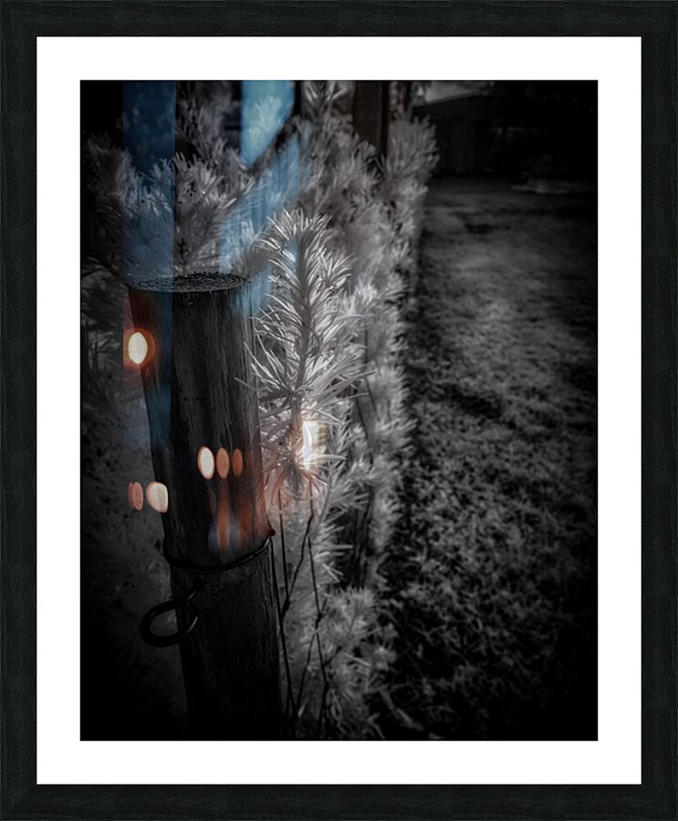 Luminous Intricacy Picture Frame print