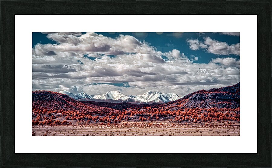 Infrared Contrast of Earth and Sky Picture Frame print