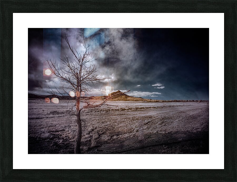 Realm of the Unknown: Lone Tree Mount Picture Frame print
