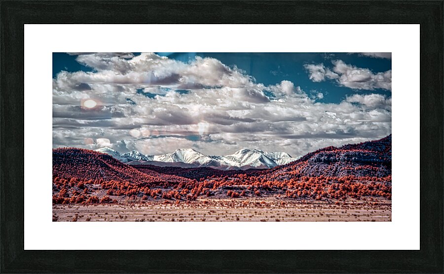 Infrared Contrast of Earth and Sky Picture Frame print