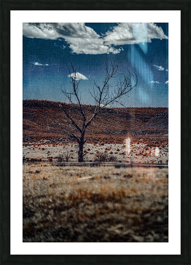Stoic Silhouette in a Desolate Expanse Picture Frame print