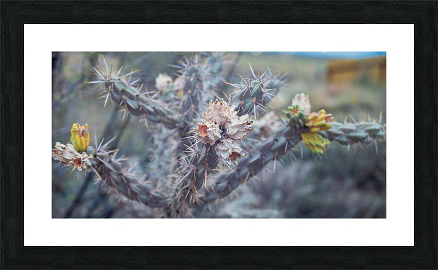 Resilient Beauty of the Desert Picture Frame print