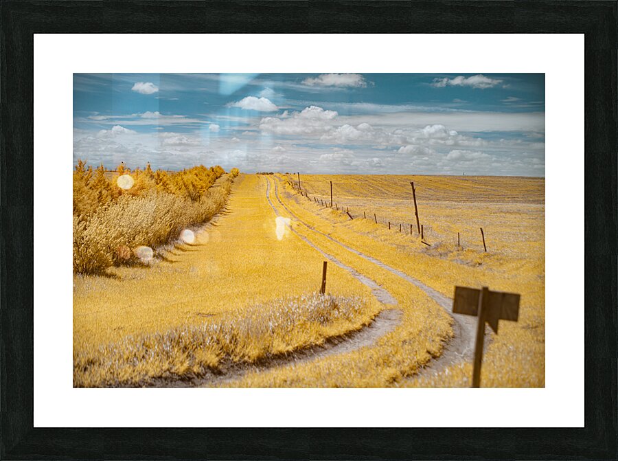 Nebraska Farm Lane - 2 Picture Frame print
