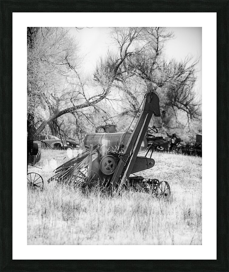 Rustic Relic - Farm Giraffe Picture Frame print
