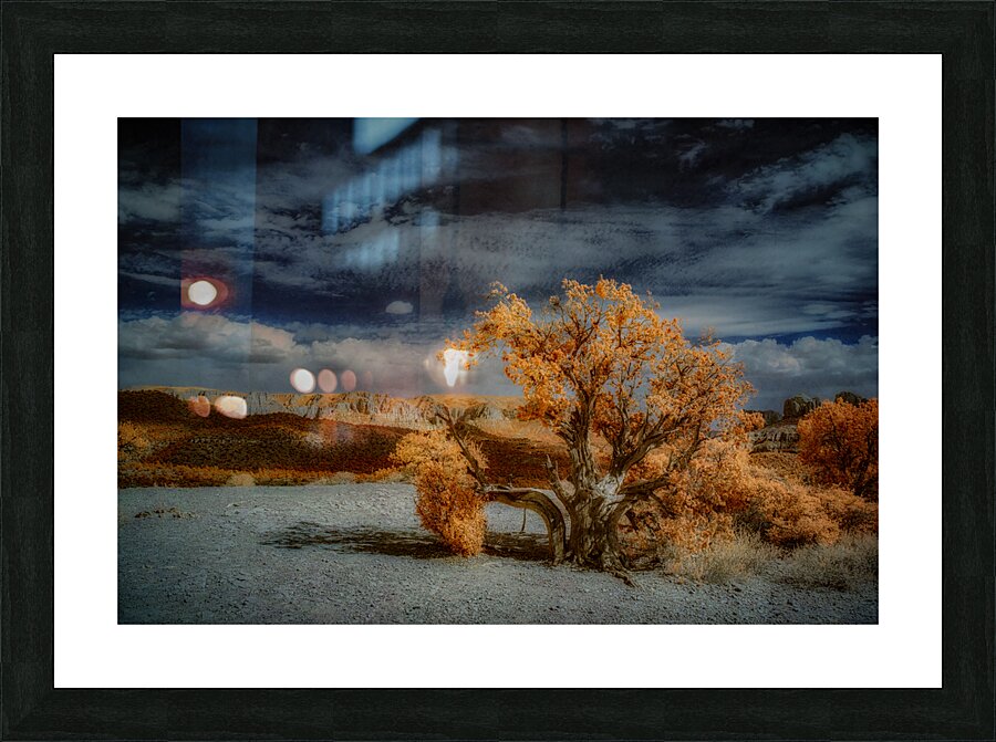 Burnt Tree Symphony in Storm Tinged Skies Picture Frame print