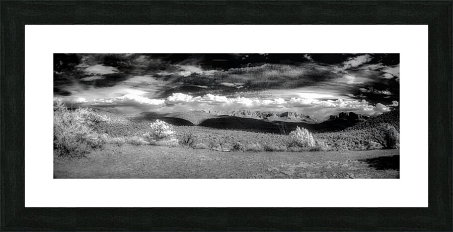 Shadows and Light on a Barren Canvas Picture Frame print