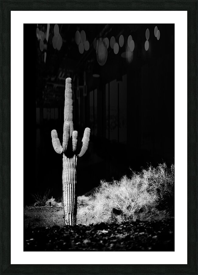 Vertical Echoes in a Desert Canvas Picture Frame print