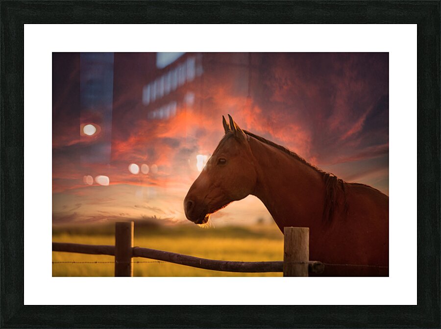 Dreams Beyond the Fence Picture Frame print