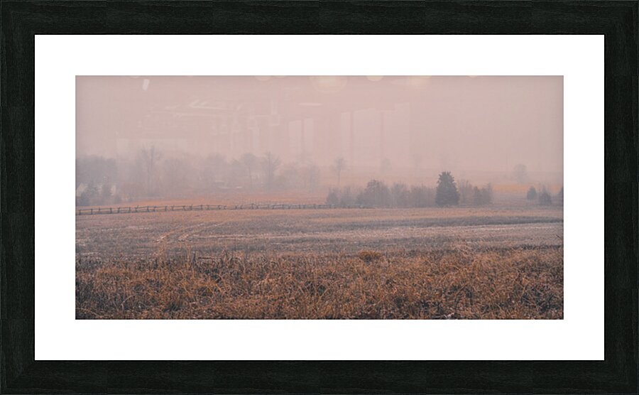 Hazel Field Picture Frame print