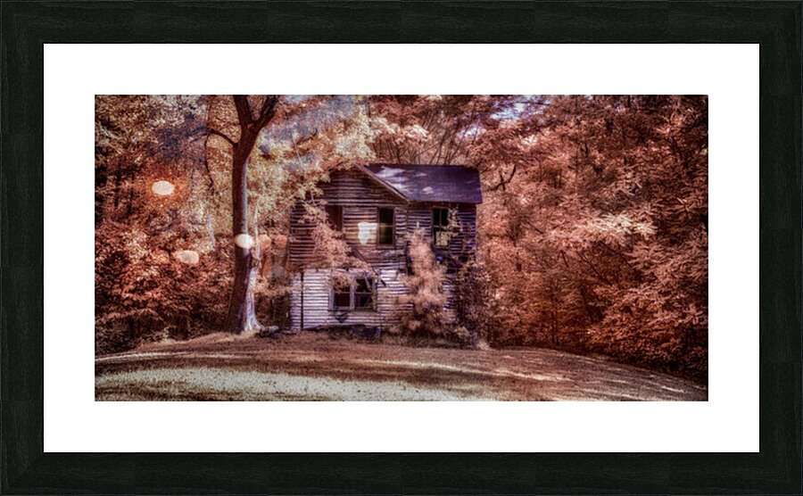 Forgotten Picture Frame print