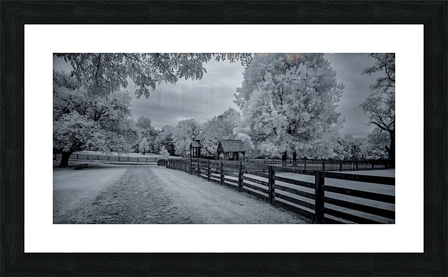Pathways to Peace Picture Frame print