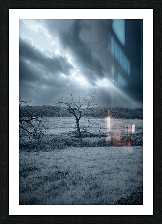Solace in Solitude: A Blue Lighted Tree in Infrared Picture Frame print
