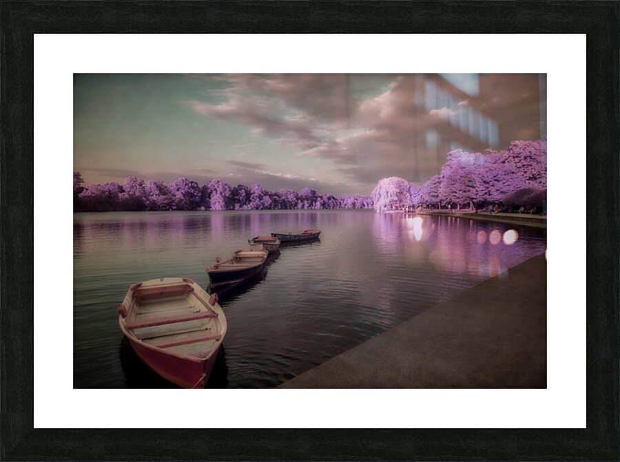 Lavender Waterscape Reverie   Picture Frame print