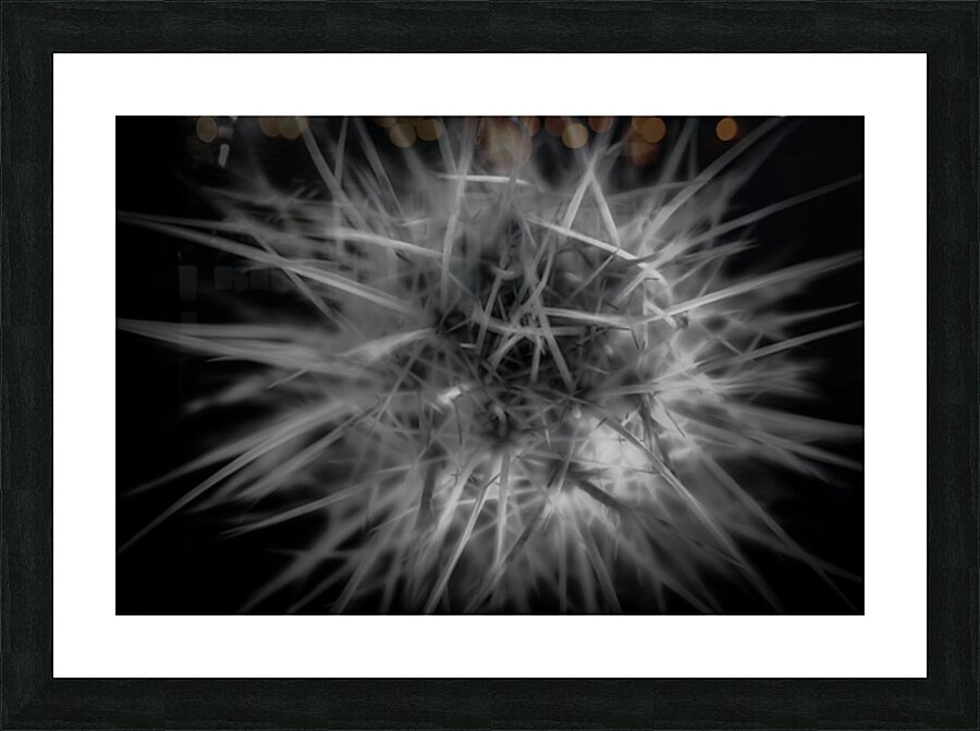 Threading the Needle of Light Picture Frame print