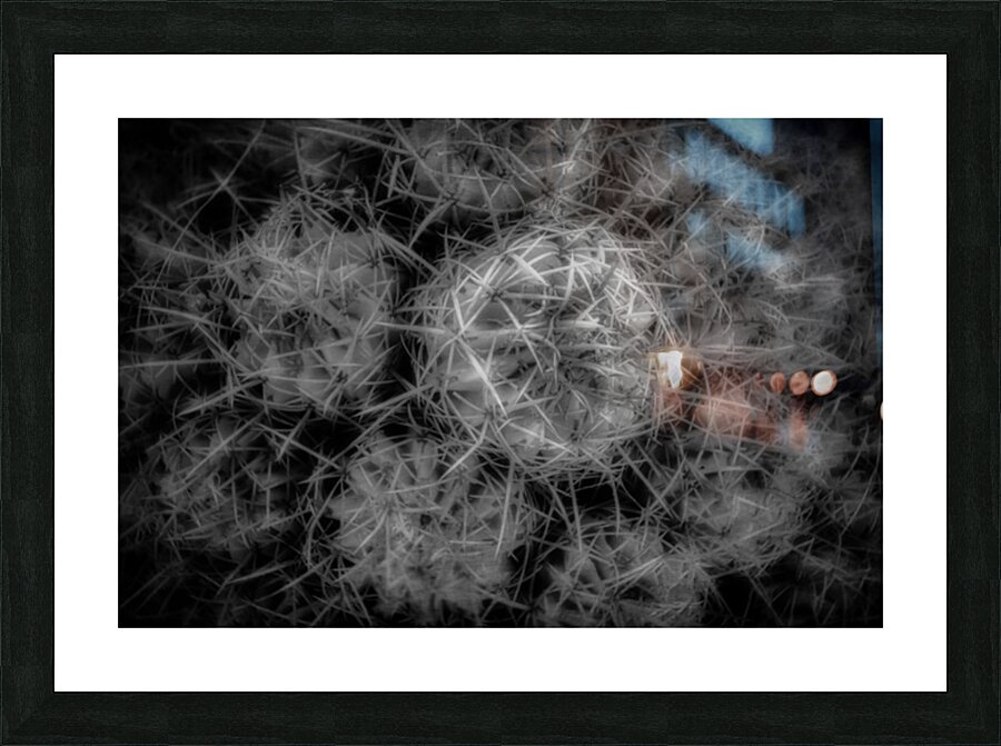 Thorned Harmonics Picture Frame print