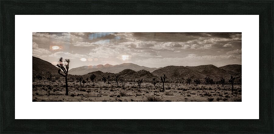 Desert Dreams Under Timeless Skies Picture Frame print