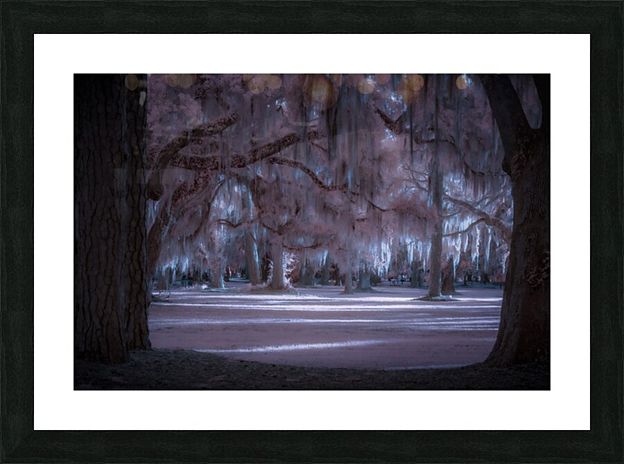 Shadows Cast by Enchanted Light Picture Frame print