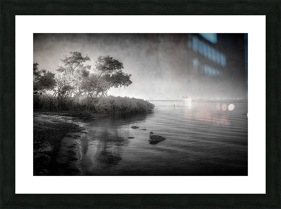 Tranquil Tides Picture Frame print