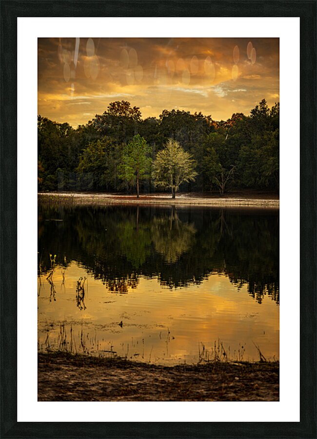 Lakeside Serenade in Sunset Hues Picture Frame print