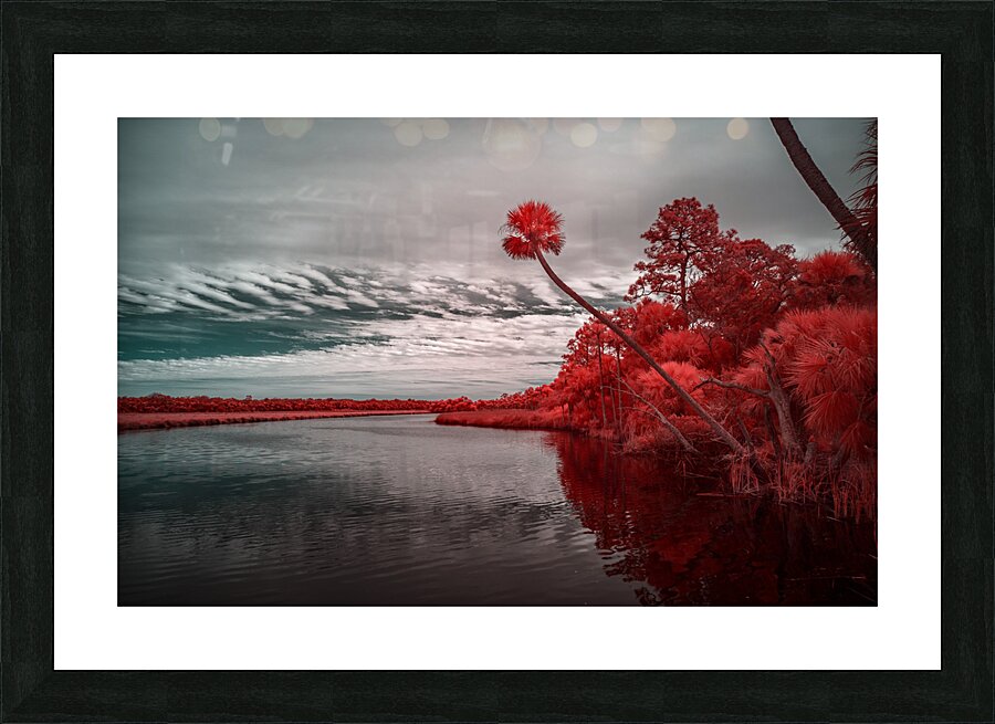 Exploring Bulow Plantation: A Romantic Stroll Reveals a Crimson  Picture Frame print