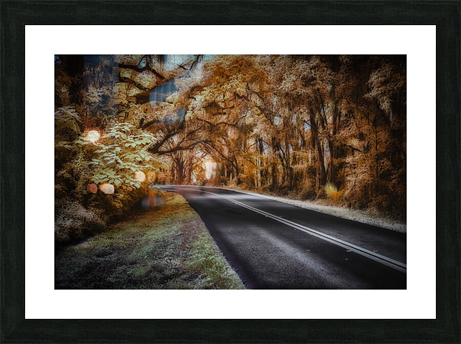 Ocala Secret: Infrared Curve Picture Frame print