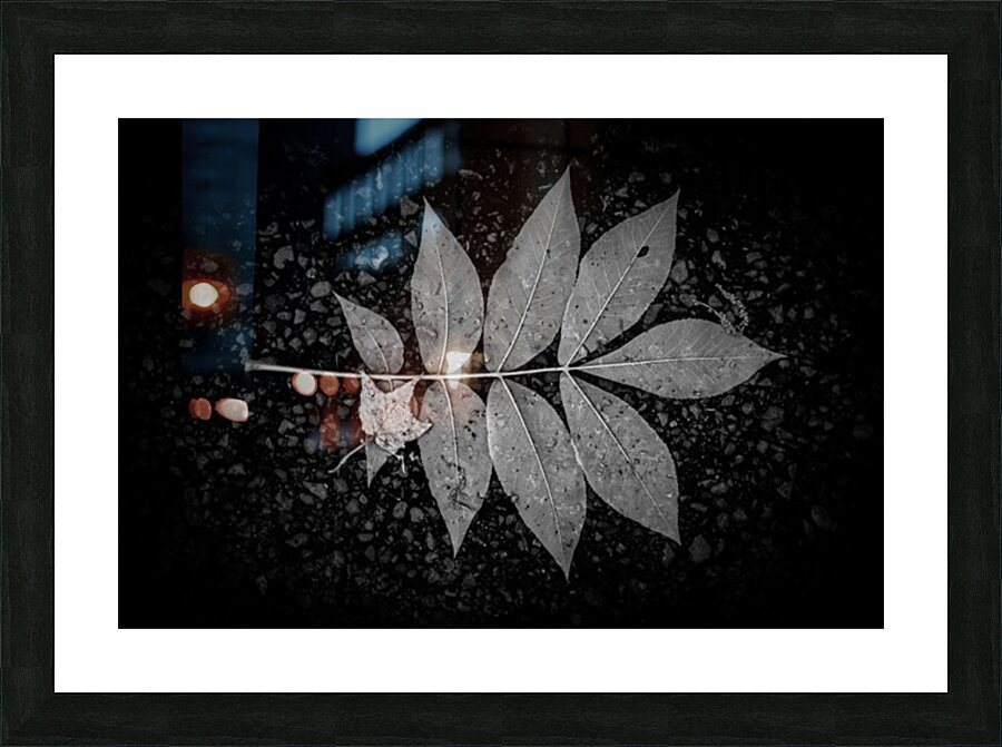 Rainy Day Wonder: Discovering Wishing Leaves at Tims Ford State  Picture Frame print