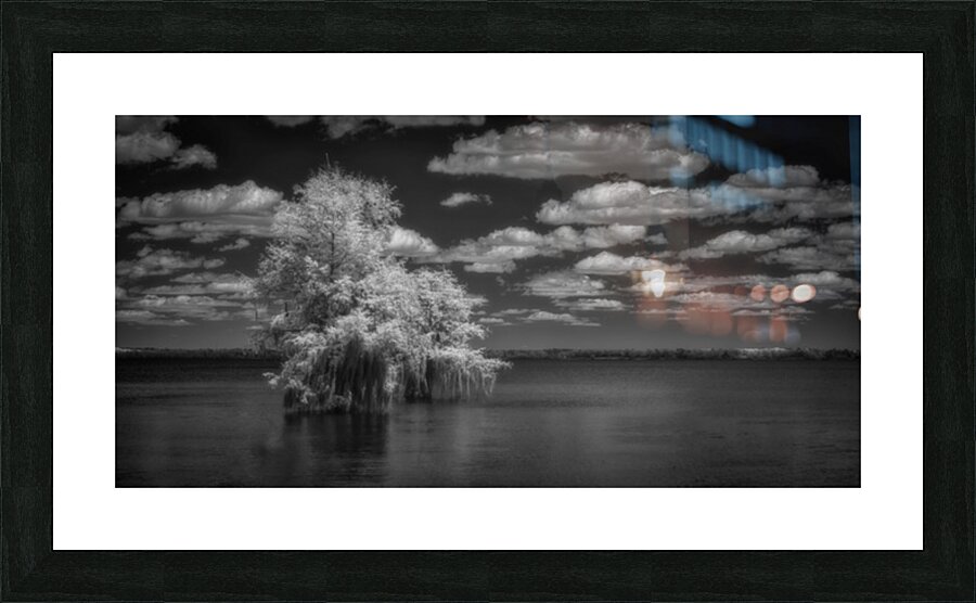 Cypress Dreams Picture Frame print