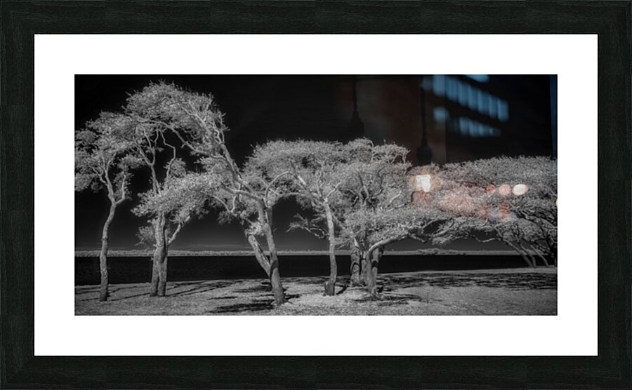 Enchanted Canopy: Exploring Gulf Shores Mystical Oaks Picture Frame print