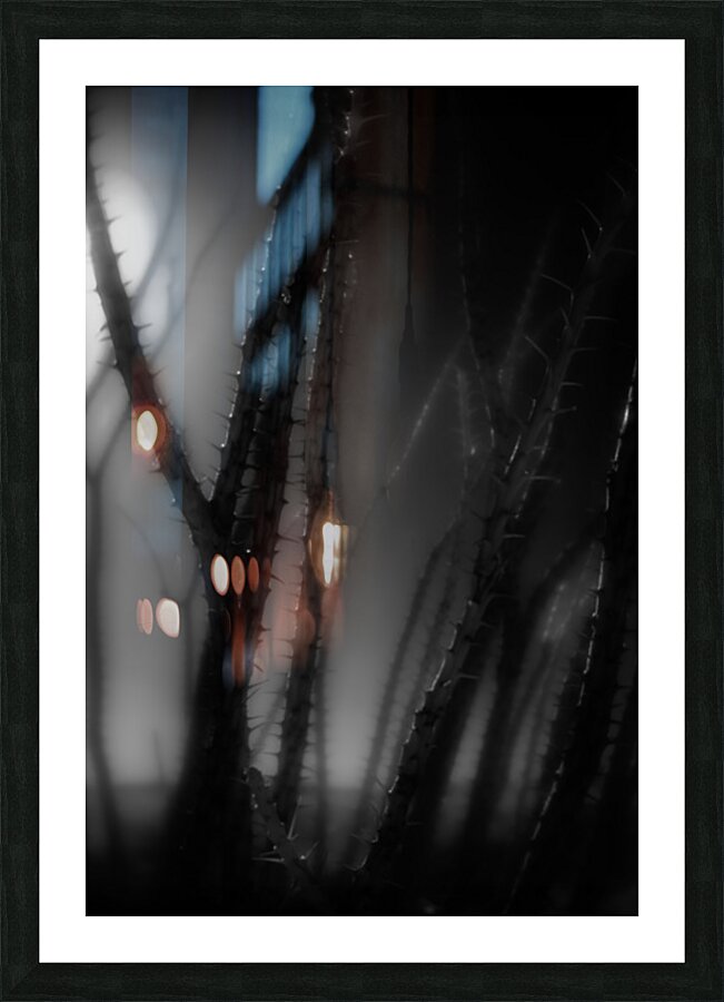 Shadows Weave Through Thorned Spire Picture Frame print