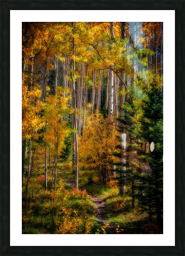 Elegy of Amber Leaves Picture Frame print