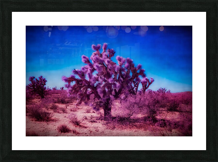 Whispers of the Desert Dream Picture Frame print