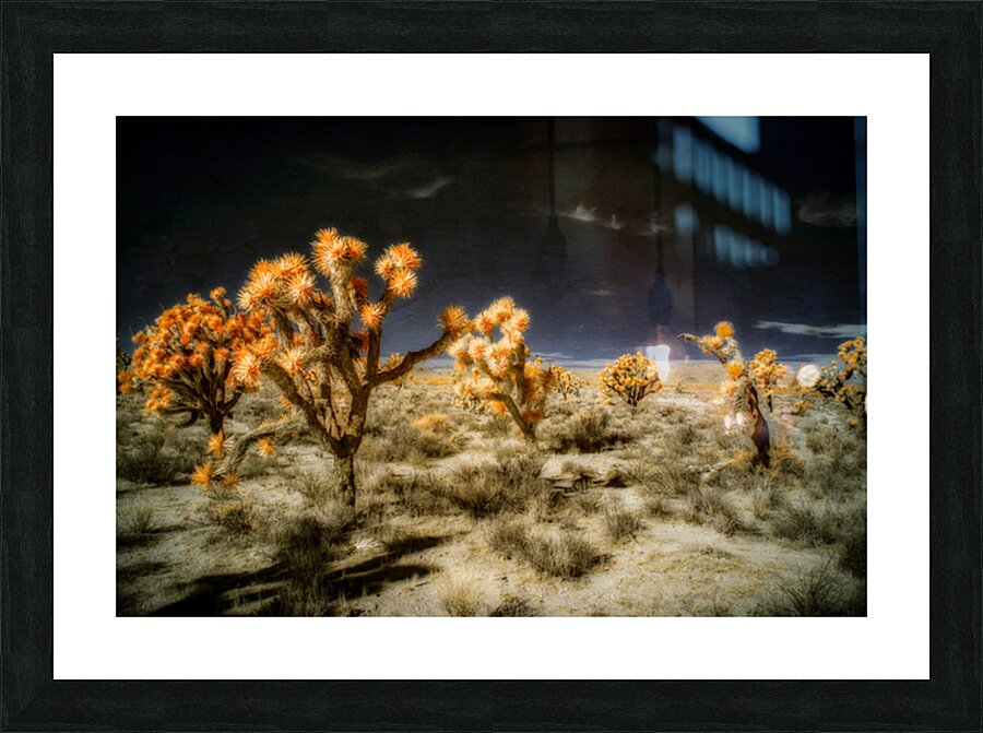 Joshuas Celestial Canopy Picture Frame print