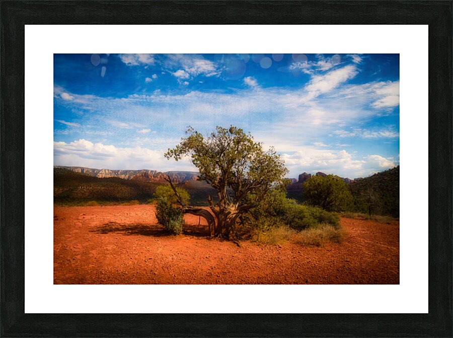 Gnarled Ode on Reddish Earth Picture Frame print