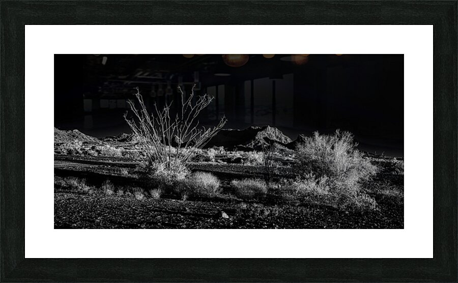 Deserts Silent Play of Light and Shadow Picture Frame print