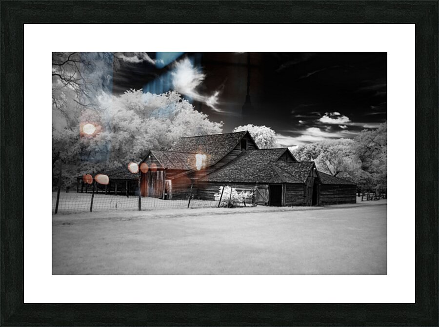 Tranquility in a Barn Tale Picture Frame print