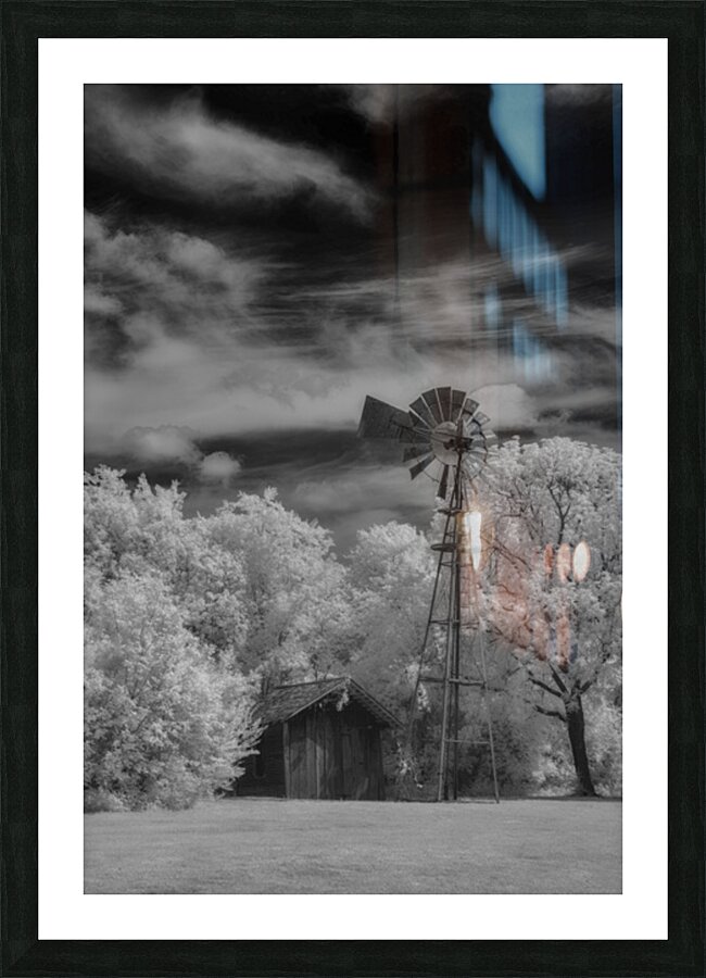 Solitude in Timber and Whee Picture Frame print