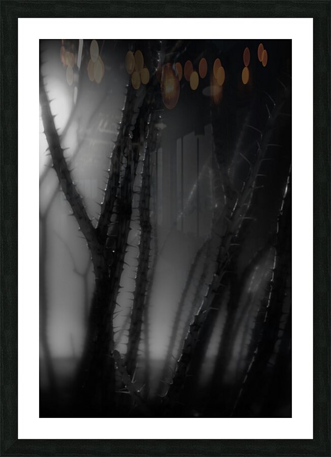 Shadows Weave Through Thorned Spire Picture Frame print