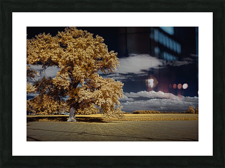 Golden Sentinel Picture Frame print