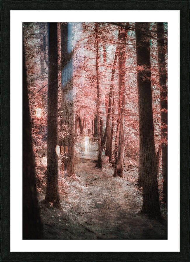 Mystical Forest Walk Picture Frame print