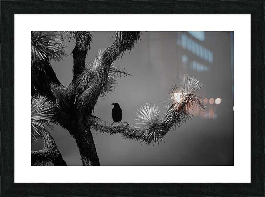 Perched in the Shadow of Spikes Picture Frame print