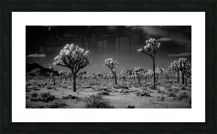 Ghostly Terrain Under Infinite Sky Picture Frame print
