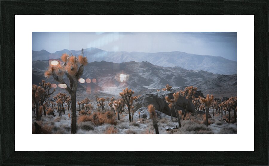 Deserts Spiky Palette Picture Frame print