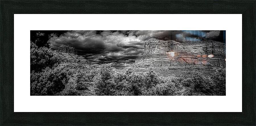 Desert Majesties in Monochrome Picture Frame print