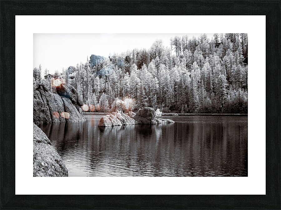 Majestic Pine Island: Capturing Sylvan Lakes Beauty Picture Frame print