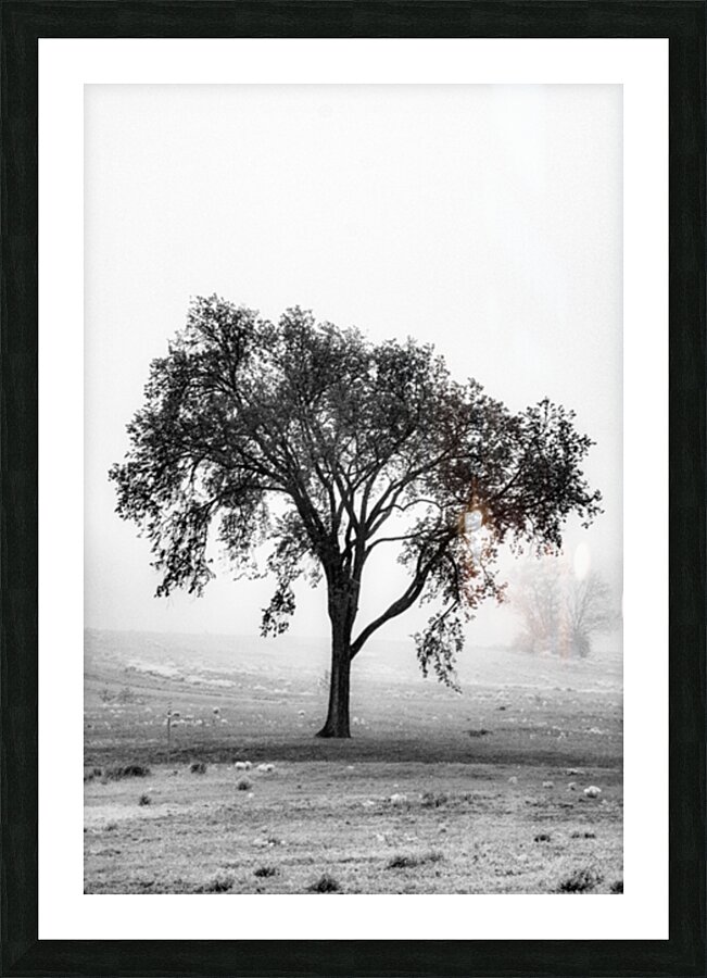 Stark Lonely Picture Frame print
