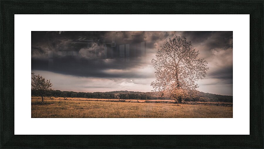 Lone Tree Storm Picture Frame print