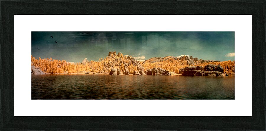 Sylvan Serenity: A Panoramic Odyssey at Custer State Park South Picture Frame print