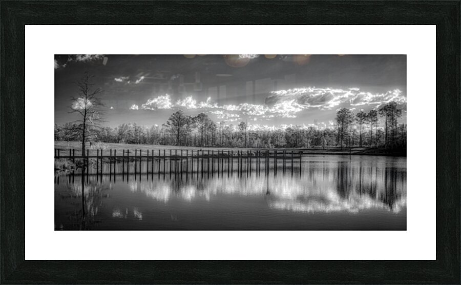 Tranquil Reflection: Florida Dead Lakes Picture Frame print