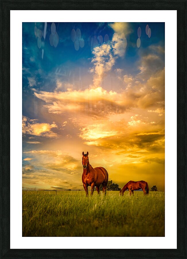 We Call Him Ernie: A Montana Ranch Tale Picture Frame print