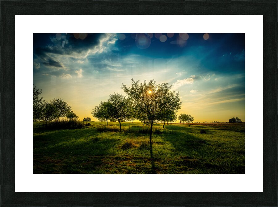 Golden Hour Symphony: Trostle Farms Enchanting Ambiance at Getty Picture Frame print